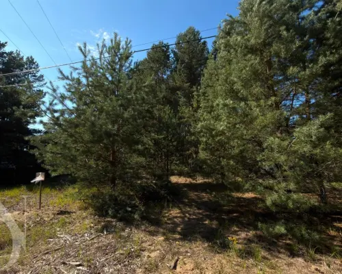 Działka 776 m² blisko Zalewu Siemianówka Kruhlik