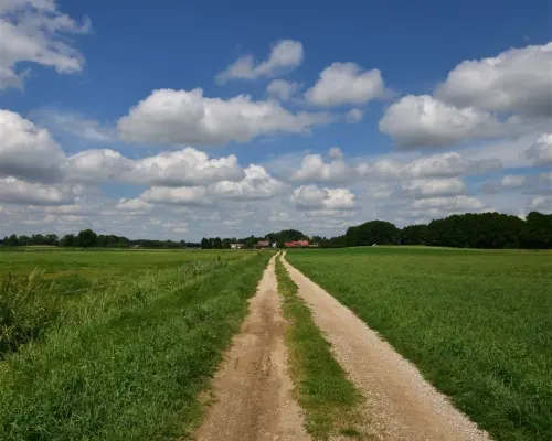 Działki 11095 m² koło Jeziora Dręstwo NOWA CENA!!!