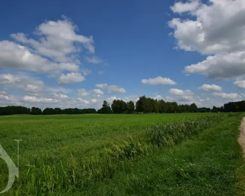 Działki 11095 m² koło Jeziora Dręstwo NOWA CENA!!!