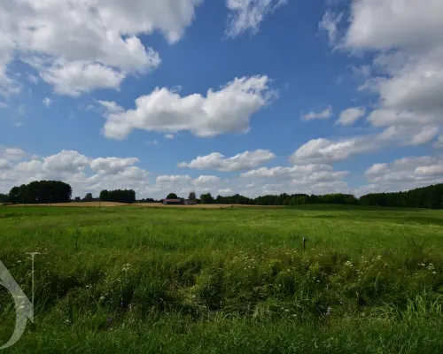 Działki 11095 m² koło Jeziora Dręstwo NOWA CENA!!!