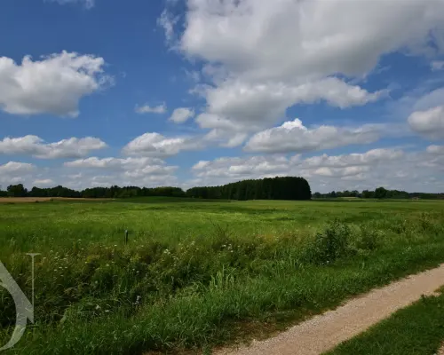 Działki 11095 m² koło Jeziora Dręstwo NOWA CENA!!!
