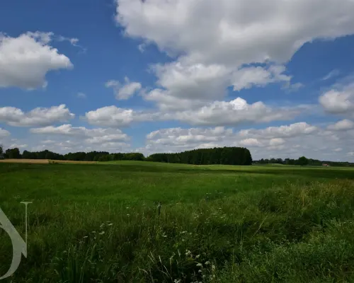 Działki 11095 m² koło Jeziora Dręstwo NOWA CENA!!!