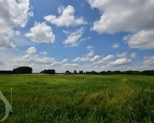 Działki 11095 m² koło Jeziora Dręstwo NOWA CENA!!!