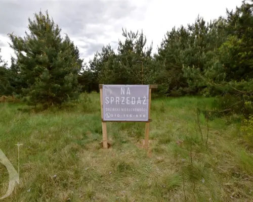 Działka Budowlana W Otoczeniu Zielenie Podlasie