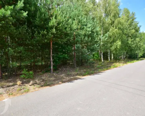 3 Działki z WZ | 6506 m² | Grabowiec
