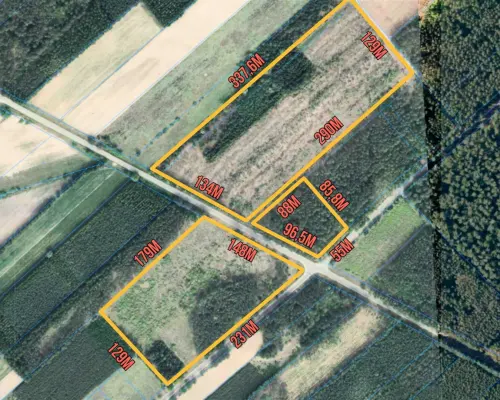 Czechy Orlańskie Działki leśne 7,41 ha