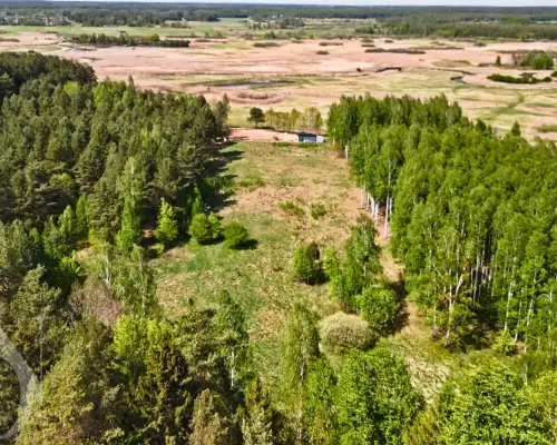 Działki z MPZP Puszcza Białowieska, Rzeka Narew