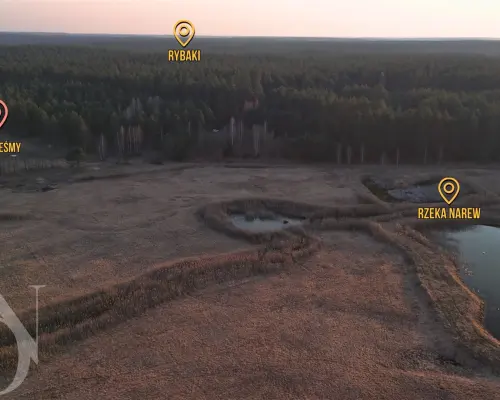 Działki z MPZP Puszcza Białowieska, Rzeka Narew