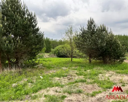 Działka Osiek /Szpetal Górny  pow: 2888 m2