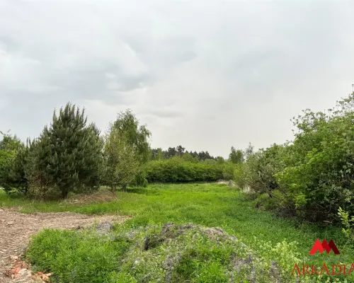 Działka Osiek /Szpetal Górny  pow: 2888 m2