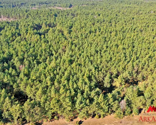 Działka las iglasty 40-50 letni, Bobrownickie Pole