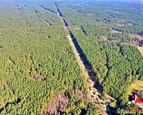Działka las iglasty 40-50 letni, Bobrownickie Pole