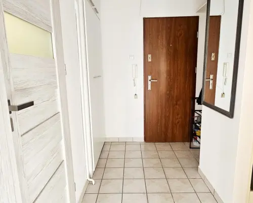 studio z osobną kuchnią po remoncie, ul. Szafera Grzegórzki