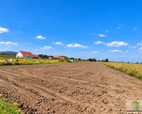 Na sprzedaż działki zagrodowe Oleszna