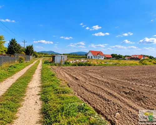 Na sprzedaż działki zagrodowe Oleszna