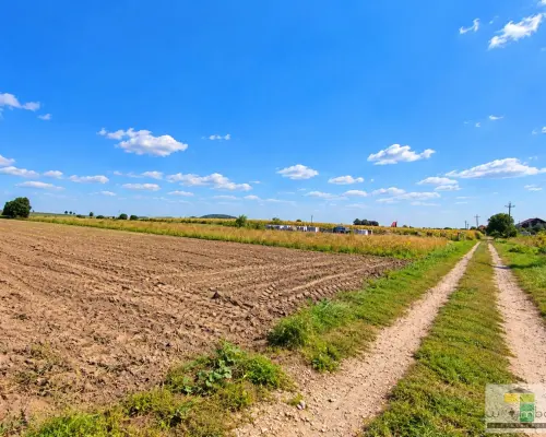 Na sprzedaż działki zagrodowe Oleszna