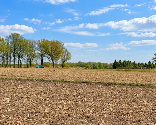 Na sprzedaż działki zagrodowe Oleszna