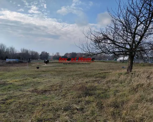 ✅ Interesująca działka budowlana Bełk 1691 m2✅